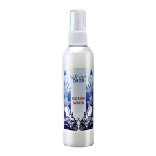 Wicked Good Florida Water 4 oz