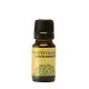 Sweet Grass World Oil