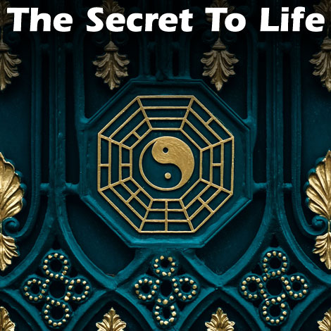 WS blog 2 the secret to life